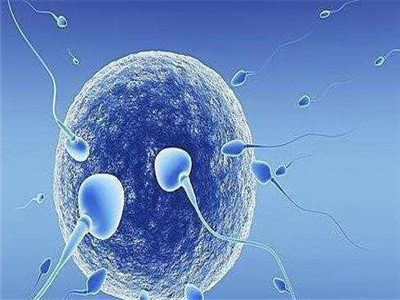 体外受精 IVF-ET
